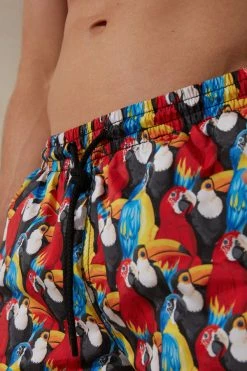 Best Sale ❤️ Intimissimi Men Parrot Print Swim Trunks Parrot Print 🧨